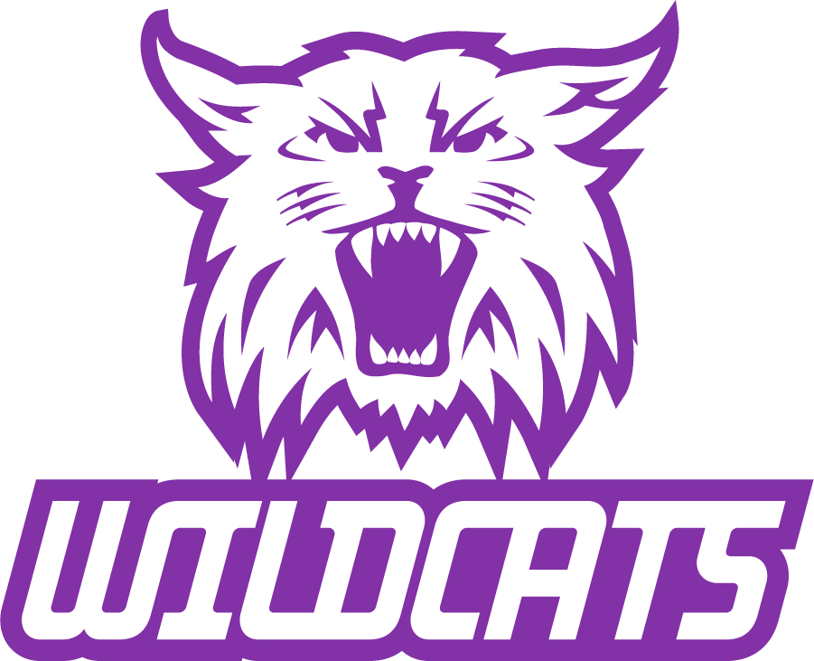 Weber State Wildcats 2008-2012 Secondary Logo v2 iron on transfers for clothing